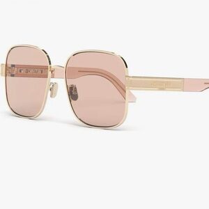 Dior DIORSIGNATURES5U Square Sunglasses